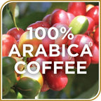 Don Francisco's Maple Pecan Ground Coffee, Medium Roast – Flavored 100% Arabica, 3-Pack (12 oz Bags), Premium Coffee for Drip, Pour Over & French Press