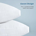 EIUE Bed Pillows for Sleeping 2 Pack Queen Size，Super Soft Down Alternative Microfiber Filled Pillows,20 x 30 Inches,White
