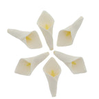 Global Sugar Art Calla Lily Sugar Cake Flowers White with Yellow, Unwired, Medium 18 Count by Chef Alan Tetreault