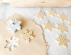 Talisman Designs Plunger Style Pie Crust Cutters, Occassions Design, 4 Piece Set