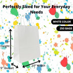 ASSUREPAK DIY Paper Bags - 250 units - White Color - 10"x5"x13"- 60LB (90 GSM strong) - Twisted Handle Recyclable Bags for Kids Drawing, Decorating and Creative Projects - 10513WHITEPAPTHDL
