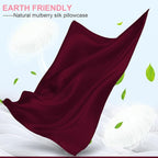 Mulberry Silk Pillow Cases 2 Pack Standard Size 20x26 Inches with Hidden Zipper, Ultra Smooth and Soft Breathable Cooling Silk Satin Pillowcase Set of 2, Better for Hair and Skin, Gifts for Women Men