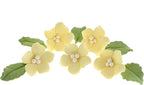 Global Sugar Art Blossoms and Leaves Edible Sugar Cake & Cupcake Flowers, Yellow, Small Unwired, 24 Count with Leaves by Chef Alan Tetreault