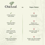 Chic Leaf Palm Leaf Plates Disposable Inch Square Pack Compostable Biodegradable & Eco Friendly Plates - Microwave Safe Disposable (10'' - 25 Pack)