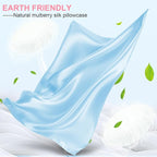 Mulberry Silk Pillow Cases 2 Pack Standard Size 20x26 Inches with Hidden Zipper, Ultra Smooth and Soft Breathable Cooling Silk Satin Pillowcase Set of 2, Better for Hair and Skin, Gifts for Women Men