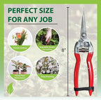 GARDEN GURU Straight Stainless Steel Pruner Pruning Shears Clippers Snips – Sharp Bonsai Cutter Plant Trimming Scissors – Straight Blade – Great for Roses Flowers Herbs Fruits - 1 Case (50 Pcs)