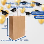 ASSUREPAK DIY Earth Friendly Paper Bags - 60LB - 10"x6.75"x12" - 100 Bags - 90 GSM - Kraft/Natural - Gift Bags for Decorating & Graduation Parties