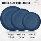 Wrova Wheat Straw Plates - 10 Inch Unbreakable Dinner Plates Set of 8 - Dishwasher & Microwave Safe Plastic Plates Reusable - Lightweight Plates for kitchen,camping (Colorful Series)