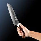 Chef Knife 8 Inch Damascus Japan VG-10 Super Stainless Steel Professional High Carbon Super Sharp Kitchen Cooking Knife, Ergonomic Color Wooden Handle Luxury Gift Box
