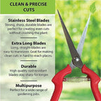 Garden Guru Extra Long Stainless Steel Pruner Pruning Shears Clippers Snips Sharp Bonsai Cutter Trimming Scissors Straight Blade Garden Scissors Tool Great for Roses Flowers Herbs Fruits (4 Pack)
