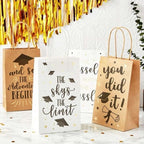 ASSUREPAK DIY Earth Friendly Paper Bags - 60LB - 10"x6.75"x12" - 100 Bags - 90 GSM - Kraft/Natural - Gift Bags for Decorating & Graduation Parties