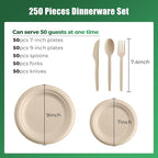250 Piece Biodegradable Paper Plates Set Disposable Dinnerware Set, Eco Friendly Compostable (EXTRA LONG UTENSILS), Utensil include, Forks, Knives and Spoons for Party andBirthday party, camping