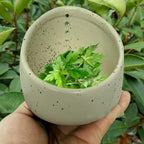 Pottery Herb Stripper Bowl, 2025 Upgrade Pottery Herb Stripper Cup Ceramic Herb Peeling Cup, Handmade Different Round Hole Sizes Suitable for Peeling Off The Leafy Assembly (B)