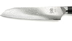 Mercer Culinary M13786 Premium Grade Super Steel, 7-Inch Santoku Knife, G10 Handle
