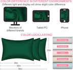 Mulberry Silk Pillow Cases 2 Pack Standard Size 20x26 Inches with Hidden Zipper, Ultra Smooth and Soft Breathable Cooling Silk Satin Pillowcase Set of 2, Better for Hair and Skin, Gifts for Women Men