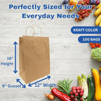 ASSUREPAK DIY Grocery Paper Bags - 100 Bags - 12"x9"x16" - 74LB (110 GSM strong) Twisted Handle - Kraft/Natural - Recyclable Food & Supermarket Bags for Decorating & Branding