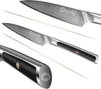 Sunnecko Paring Knife 3.5 Inch, Fruit Knife with 67-layers Damascus Steel VG-10 Blade Small Knife, Peeling Knife with Inlaid Handle Small Kitchen Knife Perfect for Cutting Fruit Vegetables Petty Knife