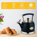 Tea Kettle Stainless Steel Teapot, Stainless Steel Teakettle for Stove Top with Heat Proof Ergonomic Handle 3.0 Quart