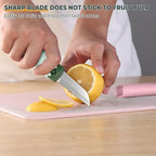 Generic 2 in 1 Stainless Steel Fruit & Vegetable Peeler; Apple & Pear Peeler, Kitchen Peeler (Green, White)