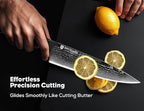 BRODARK Damascus Knife Set 3 PCS: Sharp Damascus Kitchen Knife Set, Professional Japanese Chef Knives with Ergonomic Full-Tang ABS Handle for Home, Restaurant (Dark Horse Series)