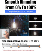 Lumiverse 36 Pack E26 led Bulb 60 watt dimmable Vintage LED Edison Bulbs 5.5W, 60W Equivalent,4000K Cool White, Antique Style ST19/ST58 LED Light Filament Bulbs, CRI 90+, E26 Base