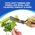 Jenaluca 5 Blade Herb Scissors - Salad Scissors - Cut & Chop Fresh Herbs & Leafy Greens - Stainless Steel Kitchen Shear Set with Cleaning Comb & Safety Cover - Kitchen Gadget - Black