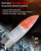 7 inch Razor Sharp Santoku Knife, AUS-8 Alloy Steel 18cm Japanese Chef Knife with Eboy Handle, Chefs Knife with Premium Gift Box (WA Series)