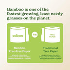 Caboo Tree Free Paper Towels, 8 Rolls, Earth Friendly Sustainable Kitchen Paper Towels with Strong 2 Ply