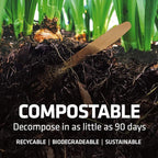 Disposable Wooden Cutlery Set - 100% Home Compostable - 300 Mix (120 Forks, 120 Spoons and 80 Knives) 6.5", Bamboo Utensils Alternative, Eco-Friendly, Organic, Sustainable and Carbon Neutral Certified
