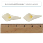Global Sugar Art Calla Lily Sugar Cake Flowers White with Yellow, Unwired, Medium 18 Count by Chef Alan Tetreault