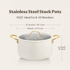 BEZIA 10 Quart Stainless Steel Stock Pot, Large Soup Pot, Casserole with Lid, Stockpot with Visible Lid, Silicone Edging, Sturdy & Double Handle, Induction Cooking Pot for Pasta, Soup, Spaghetti
