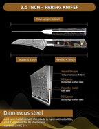 Bird Beak Paring Knife 3.5 Inch, Professional Kitchen Peeling Knife, Ultra Sharp Damascus Powder Steel with Full-tang Resin Handle, Bi Series