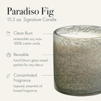 LAFCO New York Signature Candle, Paradiso Fig - 15.5 oz - 90-Hour Burn Time - Reusable, Hand Blown Glass Vessel - Made in The USA