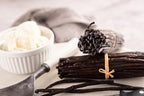 25 Vanilla Beans - Whole Extract Grade B Pods for Baking, Homemade Extract, Brewing, Coffee, Cooking - Tahitian