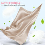 Mulberry Silk Pillow Cases 2 Pack Queen Size 20x30 Inches with Hidden Zipper, Ultra Smooth and Soft Breathable Cooling Silk Satin Pillowcase Set of 2, Better for Hair and Skin, Gifts for Women Men