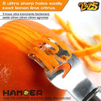 Cheese Grater and Lemon Zester, Handheld for Grating Cheese Chocolate Citrus Peel Ginger Potatoes,two Kitchen and Bar tools