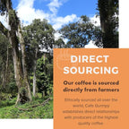Café Grumpy Guatemala Single Origin Whole Coffee Beans, 12 oz Bag Farm to Table Medium Roast, French Press Pour Over Cold Brew Drip