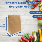 ASSUREPAK DIY Earth Friendly Grocery Paper Bag - 250 Bags - 13"x7"x13" - 74LB (110 GSM strong) - Twisted Handle - Kraft/Natural - Recyclable Food & Supermarket Bags for Decorating & Branding