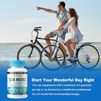 Vegan Ashwagandha Sea Moss Gummies - Black Seed Oil, Vitamin C&D for Immune Support, Digestive, Antioxidant 13 in 1 Bundle, Sea Moss Chlorophyll Advanced Strength Formula 2Pack 120 Gummies