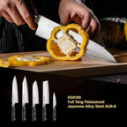 8.27 Inch Japanese Chef Knife Kitchen Knife, Japan AUS-8 Alloy Steel Gyuto Knife with Full-Tang Pakkawood Handle, Chef's Knives with Premium Gift Box (Classic Series)