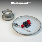 Organic Shape Restaurant Dinner Plates 10.5 ", Commerical Grade Catering Stoneware Plates in Ir-regular Organic Shape, Chip & Scratch Resistant, Glossy Reactive Glaze Grey, Case of 12
