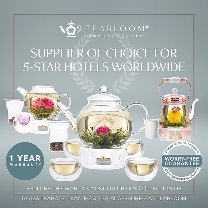 Teabloom Insulated Teapot Keeps Tea Hot – Tea Maker For Two (24 oz) – Double Wall Heatproof Glass Tea Steeper with Stainless Steel Filter Lid for Loose Leaf Tea