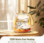 Hazel Quinn Retro Electric Kettle - 1.7 Liters / 57.5 Ounces Tea Kettle with Thermometer, All Stainless Steel, 1200 Watts Fast Boiling, BPA-free, Cordless, Automatic Shut Off - Dragon Dance