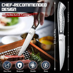 DRAGON RIOT Steak Knives Set of 6 Serrated Edge Steak Knife Set Japanese Stainless Steel Dinner Knife Diswasher Safe Steak Knives with Gift Box