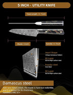 Kitchen Utility Knife 5 Inch, Professional Kitchen Chef Knife, Ultra Sharp Damascus Powder Steel with Full-tang Resin Handle, Bi Series
