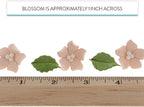 Global Sugar Art Blossoms and Leaves Edible Sugar Cake & Cupcake Flowers, Peach, Small Unwired, 24 Count with leaves by Chef Alan Tetreault