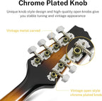 Donner A Style Mandolin Instrument Sunburst Beginner Adult Acoustic Mandolin Musical Instrument Mahogany 8 String, Bundle With Tuner String Bag Guitar Picks,DML-1