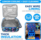 Bento Lunch Box with Bag, Water Bottle & Ice Pack Set for Kids Toddlers, 4 Portion Sections, Removable Tray, Pre-School Boy Toddler Daycare Lunches, Insulated Snack Container, Blue Space Dinosaur
