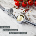 Premium Garlic Press, Professional Garlic Mincer, Easy to Squeeze and Clean, Rust Proof & Dishwasher Safe, Efficient Ginger Crusher - Sliver