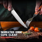 DRAGON RIOT Steak Knives Set of 4 Serrated Edge Steak Knife Set Japanese Stainless Steel Dinner Knife Diswasher Safe Steak Knives with Box